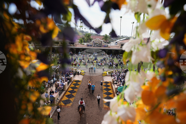 Breeders Cup Horse Racing