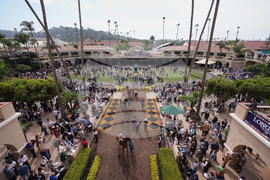 Breeders Cup Horse Racing