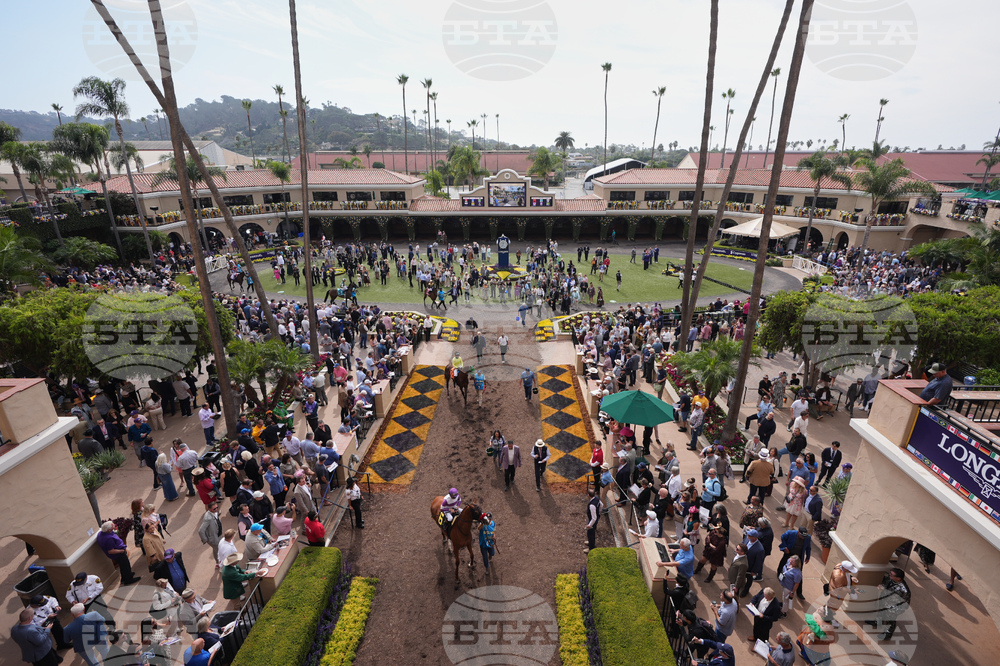 Breeders Cup Horse Racing