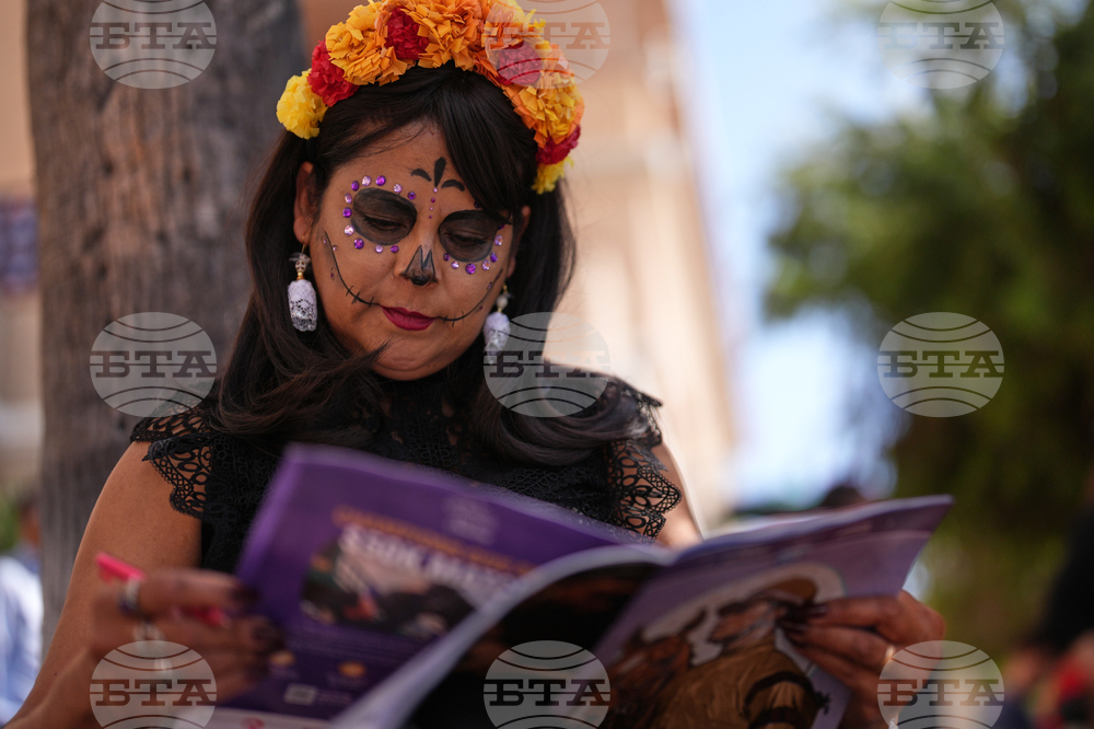 Breeders Cup Horse Racing