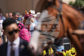 Breeders Cup Horse Racing