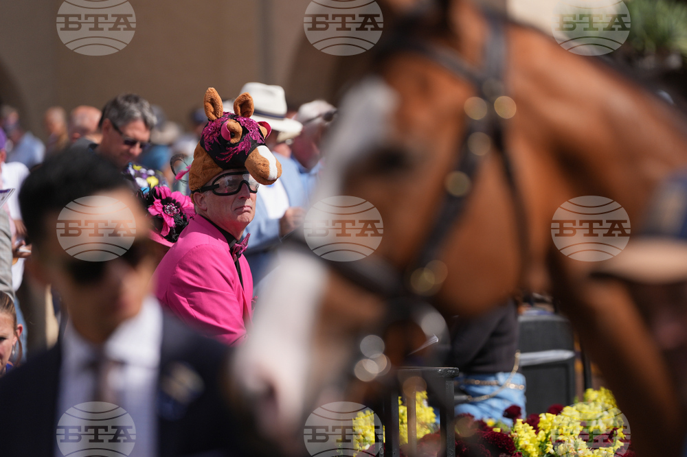 Breeders Cup Horse Racing