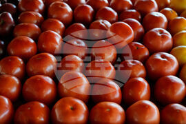 US Government Shutdown Food Aid