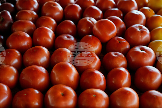 US Government Shutdown Food Aid