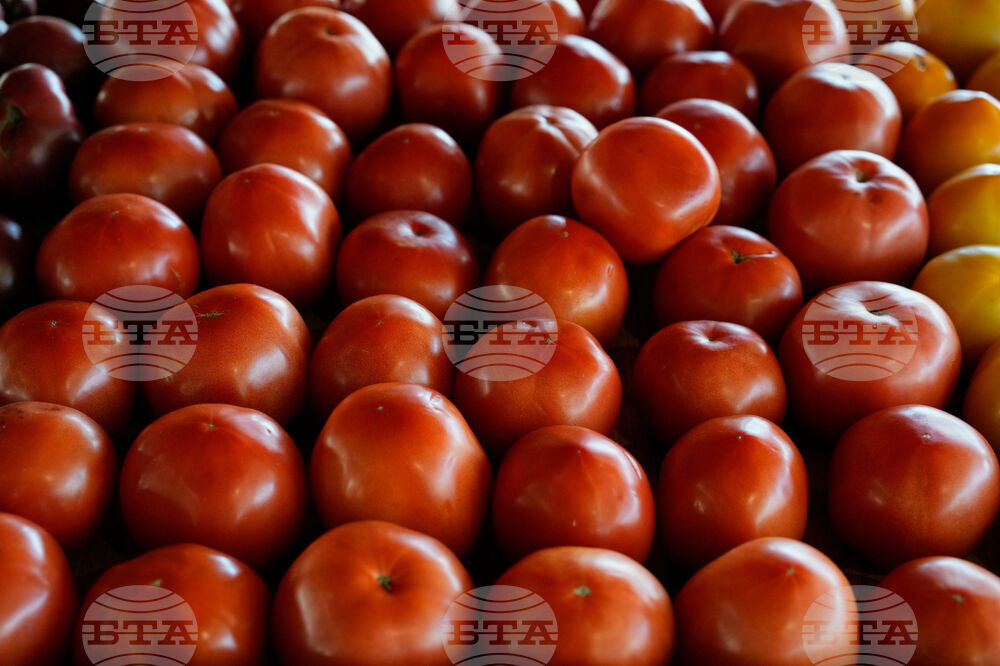 US Government Shutdown Food Aid