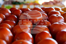 US Government Shutdown Food Aid