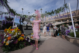 Breeders Cup Horse Racing