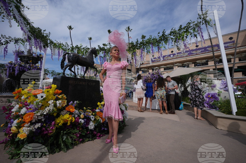 Breeders Cup Horse Racing