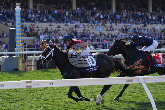 Breeders Cup Juvenile Turf Sprint Horse Racing