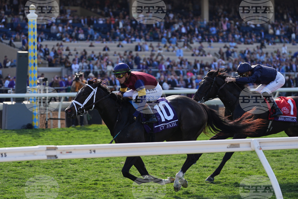 Breeders Cup Juvenile Turf Sprint Horse Racing
