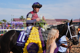 Breeders Cup Juvenile Turf Sprint Horse Racing