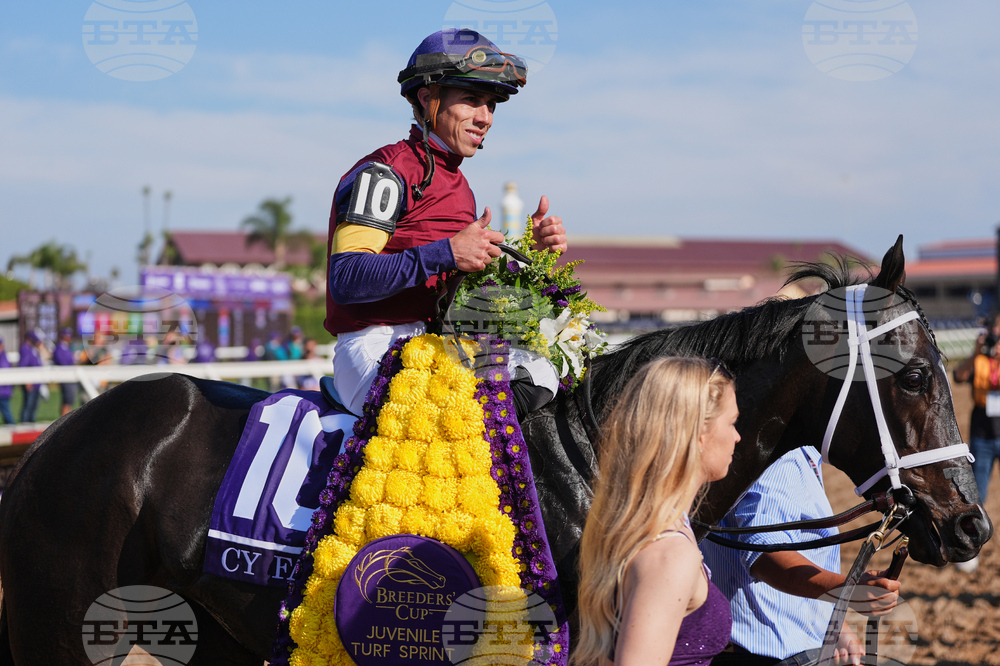 Breeders Cup Juvenile Turf Sprint Horse Racing