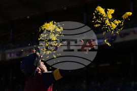 Breeders Cup Juvenile Turf Sprint Horse Racing