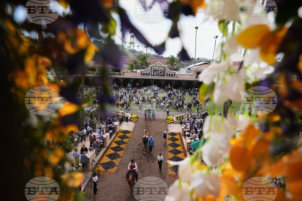 APTOPIX Breeders Cup Horse Racing