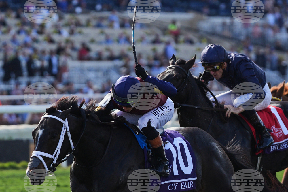 Breeders Cup Juvenile Turf Sprint Horse Racing