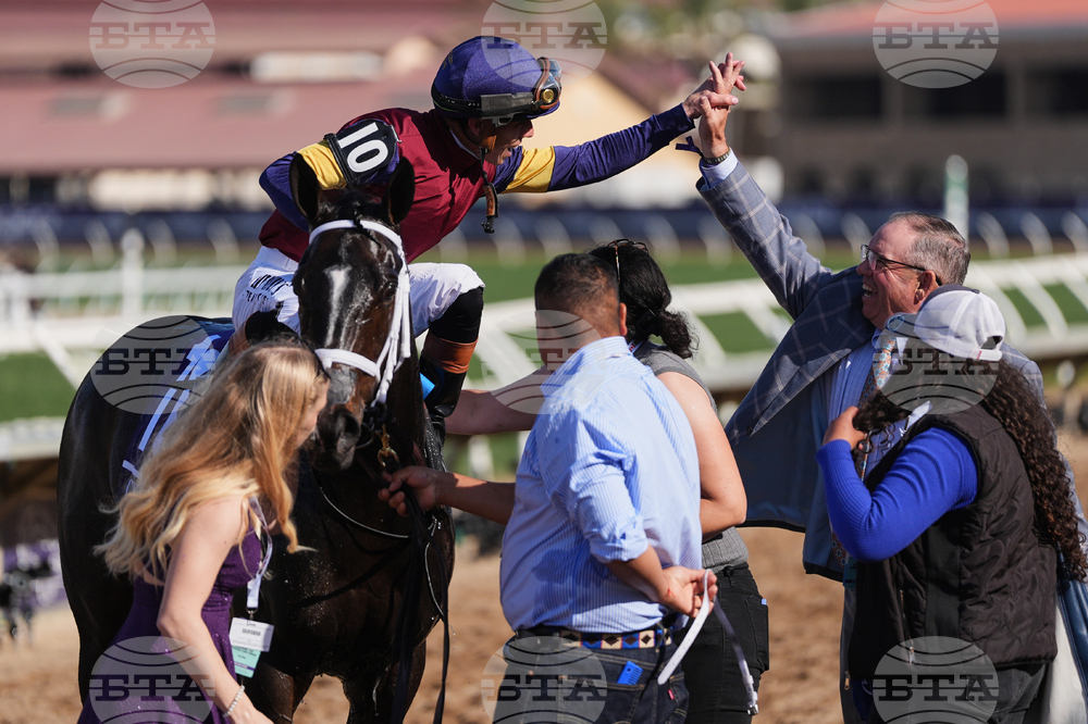 Breeders Cup Juvenile Turf Sprint Horse Racing