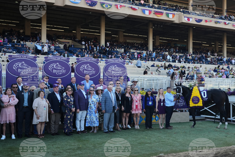 Breeders Cup Juvenile Turf Sprint Horse Racing