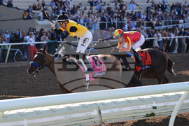 Breeders Cup Juvenile Fillies Horse Racing