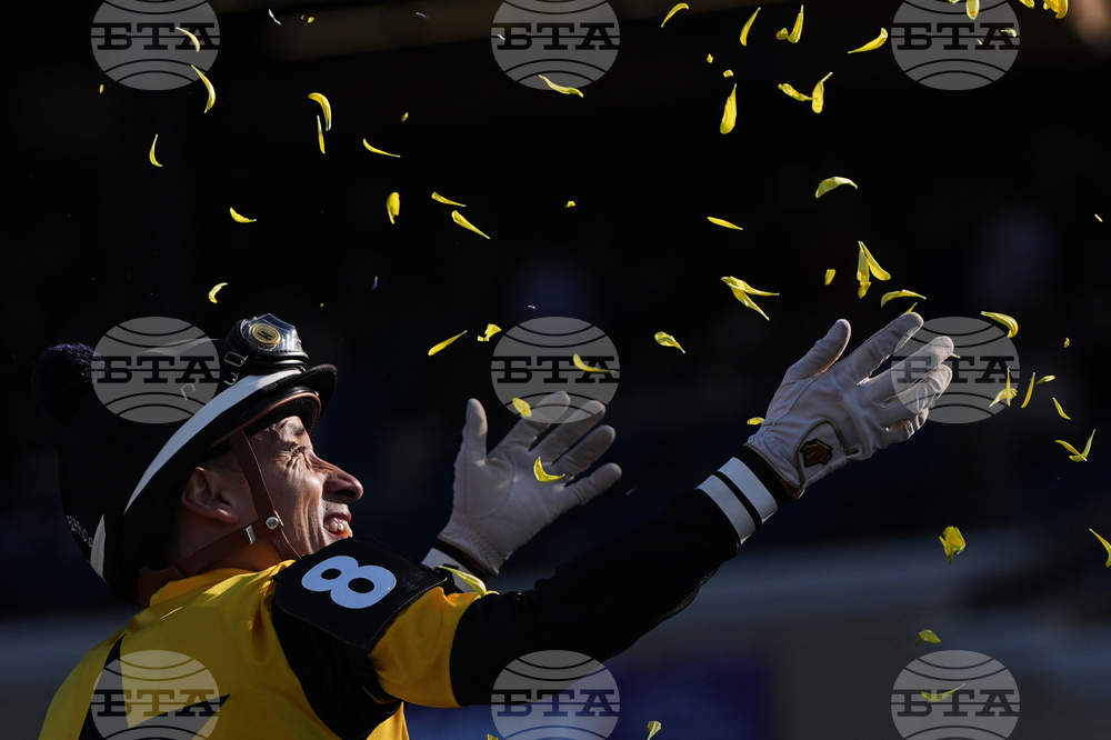 Breeders Cup Juvenile Fillies Horse Racing