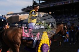 Breeders Cup Juvenile Fillies Horse Racing