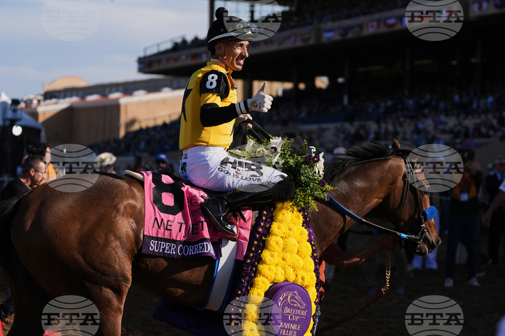 Breeders Cup Juvenile Fillies Horse Racing