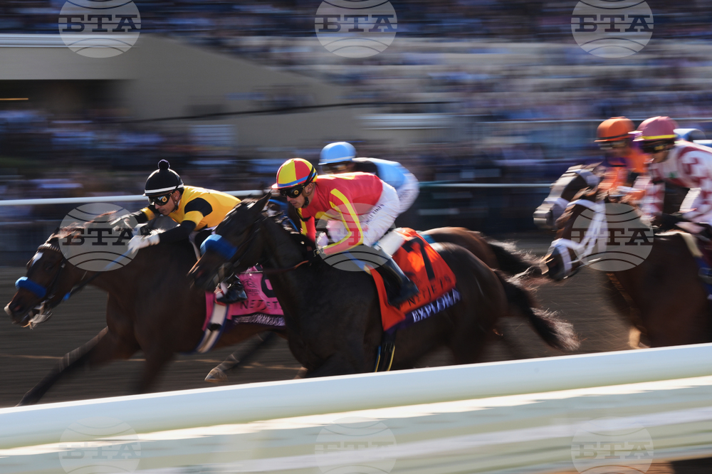 Breeders Cup Juvenile Fillies Horse Racing