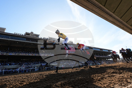 Breeders Cup Juvenile Fillies Horse Racing