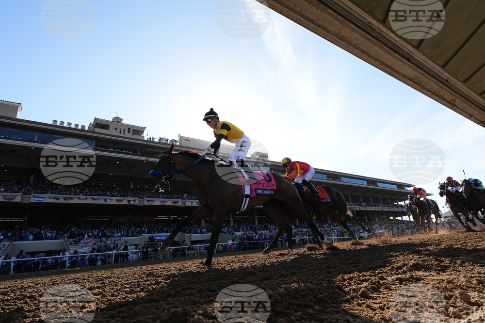 Breeders Cup Juvenile Fillies Horse Racing