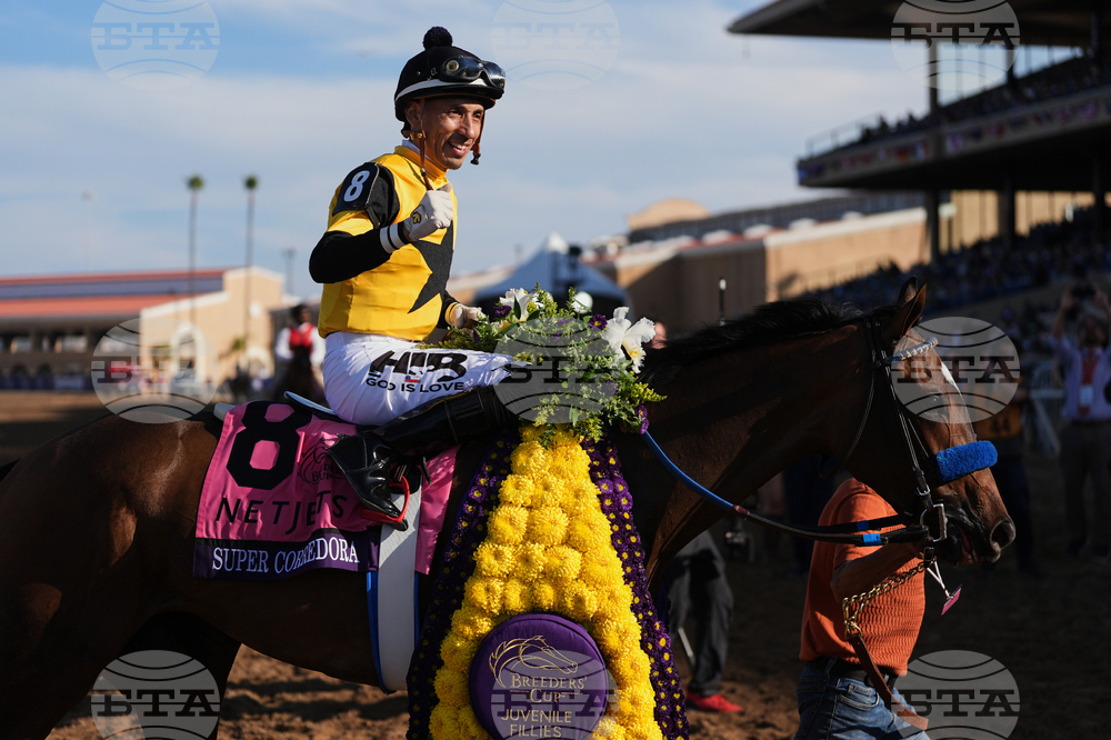 Breeders Cup Juvenile Fillies Horse Racing