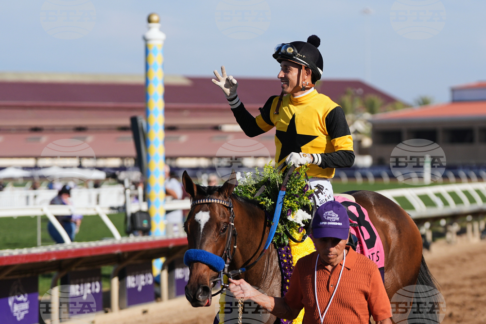 Breeders Cup Juvenile Fillies Horse Racing