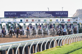 Breeders Cup Juvenile Fillies Horse Racing