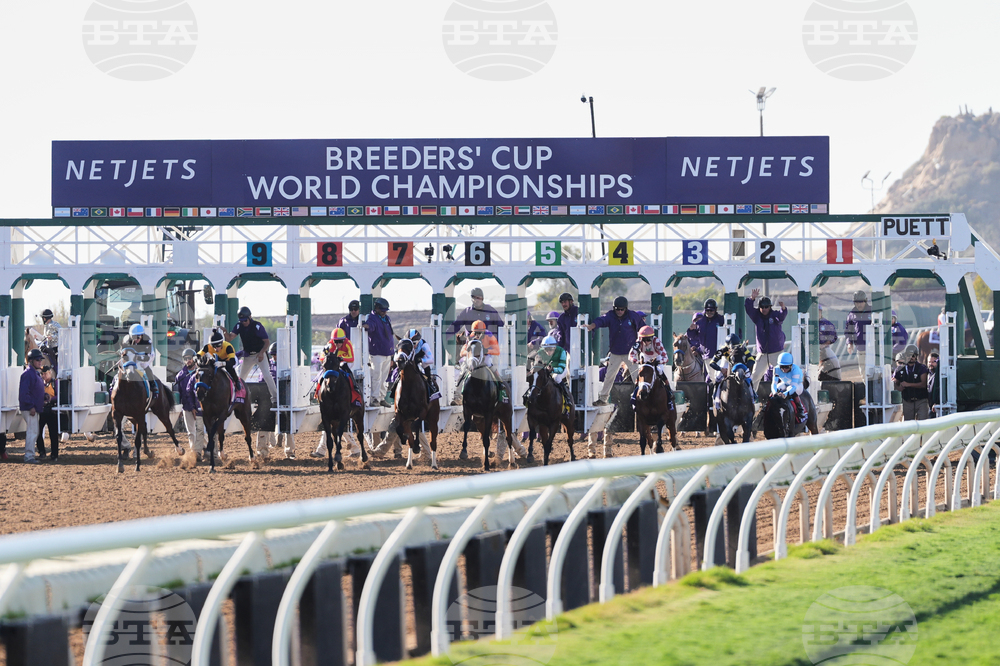 Breeders Cup Juvenile Fillies Horse Racing