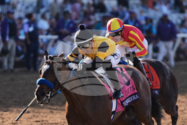 Breeders Cup Juvenile Fillies Horse Racing