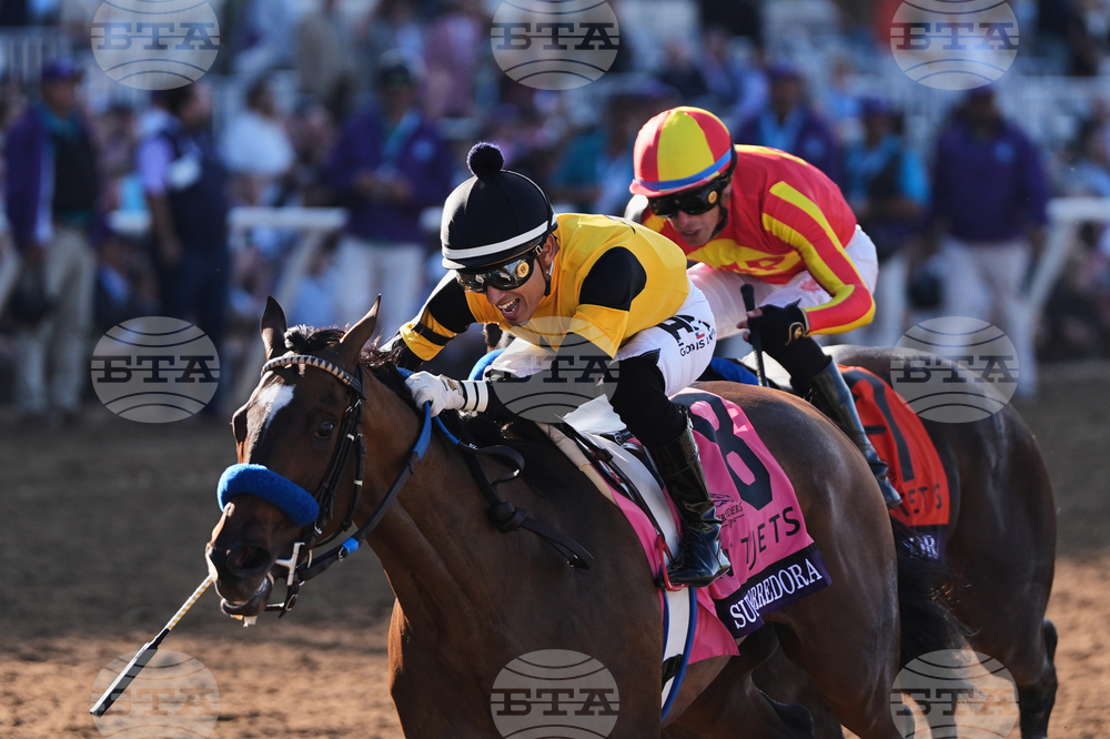 Breeders Cup Juvenile Fillies Horse Racing