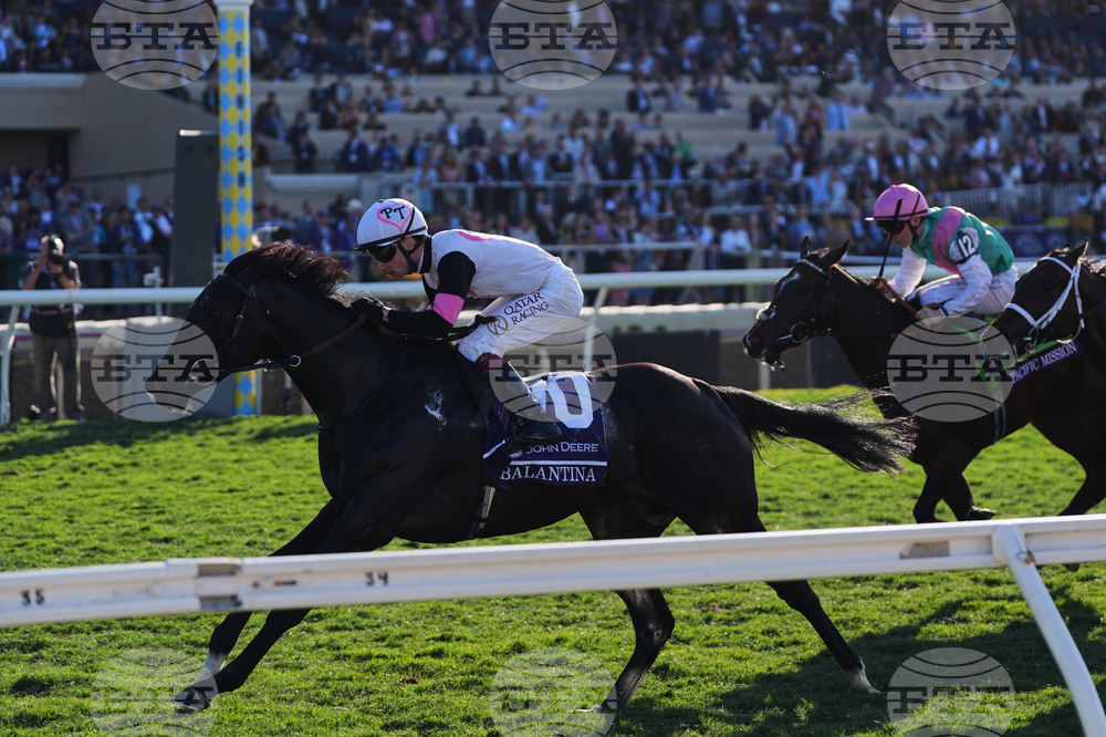 Breeders Cup Juvenile Fillies Turf Horse Racing