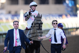 Breeders Cup Juvenile Fillies Turf Horse Racing