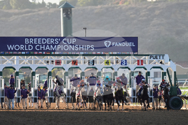 Breeders Cup Juvenile Horse Racing