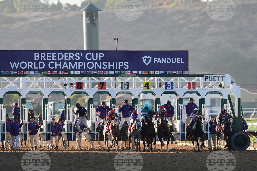 Breeders Cup Juvenile Horse Racing