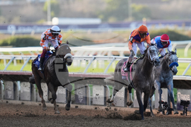 Breeders Cup Juvenile Horse Racing