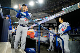 World Series Dodgers Blue Jays Baseball