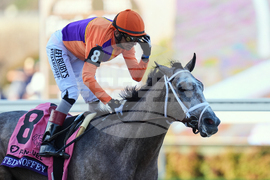 Breeders Cup Juvenile Horse Racing