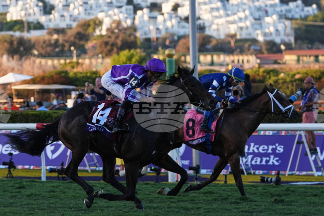Breeders Cup Juvenile Turf Horse Racing