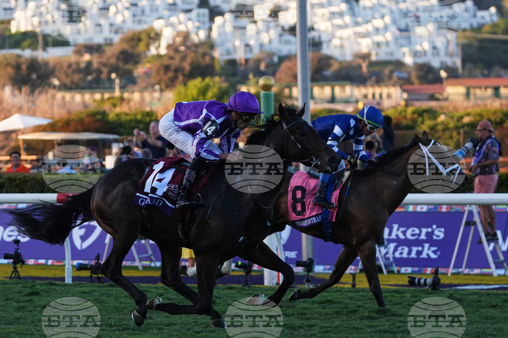 Breeders Cup Juvenile Turf Horse Racing