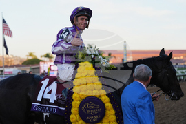 Breeders Cup Juvenile Turf Horse Racing