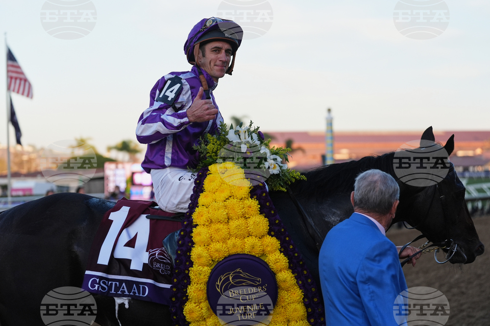 Breeders Cup Juvenile Turf Horse Racing