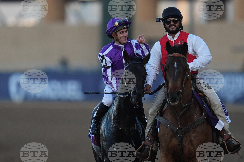 Breeders Cup Juvenile Turf Horse Racing