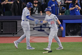 World Series Dodgers Blue Jays Baseball