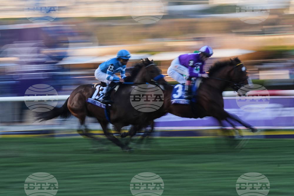 Breeders Cup Juvenile Turf Horse Racing
