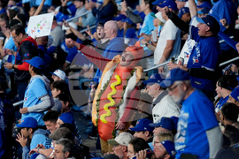 World Series Dodgers Blue Jays Baseball