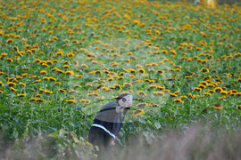 South Korea Daily Life